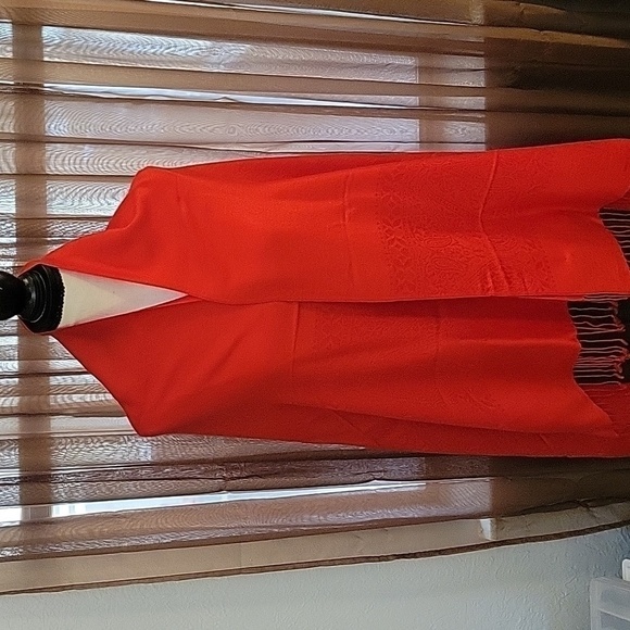 PASHMINA Silk Pashmina Red Paisley Fringe Valentine's Shawl Wrap - Picture 5 of 11